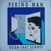 12inch Vinyl Single - Peking Man - Room That Echoes (Extended Mix)