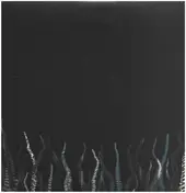 Pelican - City of Echoes