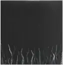 Double LP - Pelican - City of Echoes