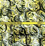 Pelican - SPLIT