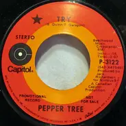 Pepper Tree - Try / How Many Times