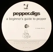 Pepper.Digs - A Beginner's Guide To Pepper