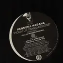 12inch Vinyl Single - Pequena Habana - Pickin' Up Transmissions
