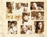 CD - Perú Negro - Sangre De Un Don: Herencia Afro Peruana