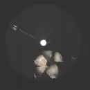 12inch Vinyl Single - Perc & Modern Heads - Dax