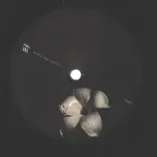 Perc - Dax