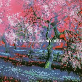 Percewood's Onagram - Tropical Brainforest