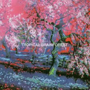 Percewood's Onagram - Tropical Brainforest