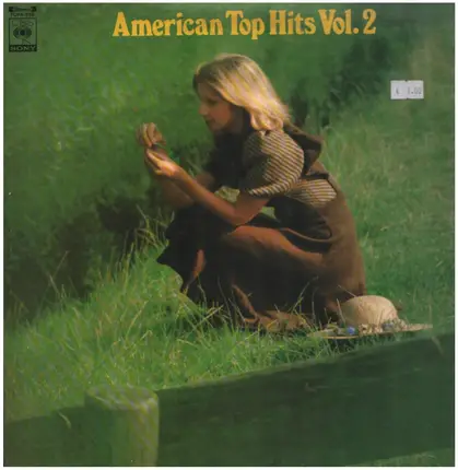 Percy Faith, Ray Connif a.o. - American Top Hits Vol. 2