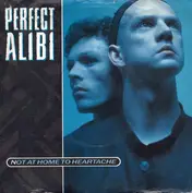Perfect Alibi