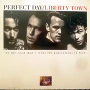 12inch Vinyl Single - Perfect Day - Liberty Town