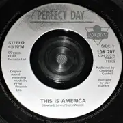 7inch Vinyl Single - Perfect Day - This Is America