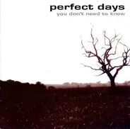 Perfect Days - You Don't Need To Know