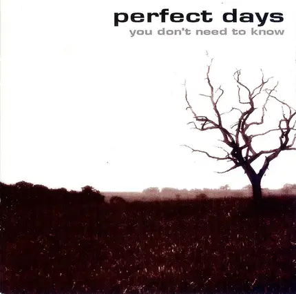 Perfect Days - You Don't Need To Know