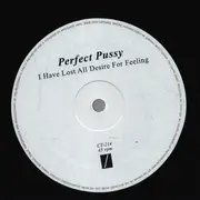12inch Vinyl Single - Perfect Pussy - I Have Lost All Desire For Feeling - EP, Single Sided, Etched