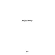12inch Vinyl Single - Perfect Pussy - I Have Lost All Desire For Feeling - White