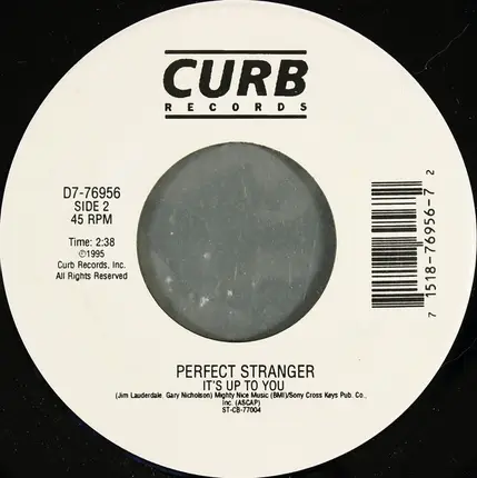 Perfect Stranger - You Have the Right to Remain Silent