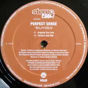 Perfect Sense - Bumba