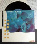 7inch Vinyl Single - Perfect World - Vacation In Black