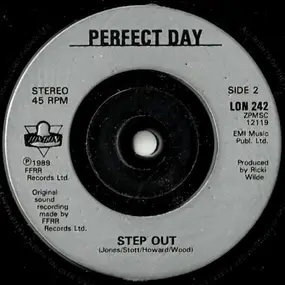 Perfect Day - King Of Fools