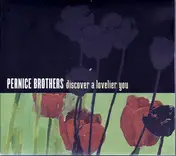 The Pernice Brothers - Discover a Lovelier You