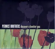 Pernice Brothers - Discover a Lovelier You