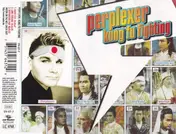 Perplexer - Kung Fu Fighting