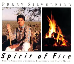 Perry Silverbird - Spirit of Fire