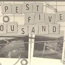 7inch Vinyl Single - Pest 5000 - Page 43