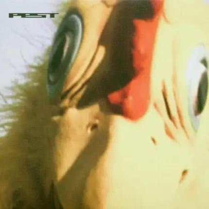 PEST - CHICKEN SPIT