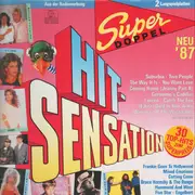 Double LP - Pet Shop Boys / Tina Turner / Sandra a.o. - Super Doppel Hit-Sensation '87 - Gatefold