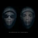 Double CD - Pet Shop Boys - Alternative