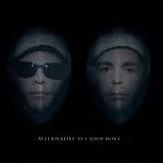 Double CD - Pet Shop Boys - Alternative