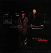 12inch Vinyl Single - Pet Shop Boys - DJ Culture
