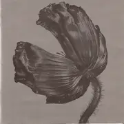 CD - Pet Shop Boys - Release