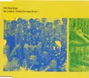 CD Single - Pet Shop Boys - Se A Vida É (That's The Way Life Is)