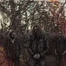 LP - Pet The Preacher - Short Stories: Papa Zen & Meet The Creature