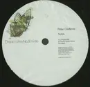 12inch Vinyl Single - Petar Cvetkovic - Trinkets
