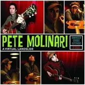 Pete Molinari - A Virtual Landslide