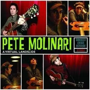 PETE MOLINARI - A Virtual Landslide