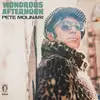 LP - Pete Molinari - Wondrous Afternoon