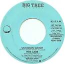 7inch Vinyl Single - Pete Carr - Canadian Sunset