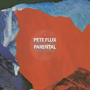 LP - Pete Flux & Parental - Traveling Thought - EP, LTD ED