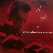 Pete Terrace - A Night In Mambo-Jazzland