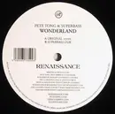 12inch Vinyl Single - Pete Tong & Superbass - Wonderland