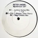 12inch Vinyl Single - Peter Andre - Mysterious Girl