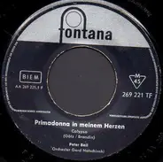 Peter Beil - Primadonna In Meinem Herzen