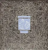 Peter Blegvad - Downtime