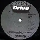 12'' - Peter Brown - Can't Be Love - Do It To Me Anyway