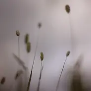Peter Broderick - Float